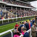 placing a bet on the grand national